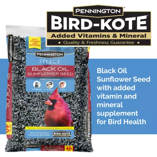 Pennington Select Black Oil Sunflower Seed Dry Wild Bird Feed, 40 lb. Bag