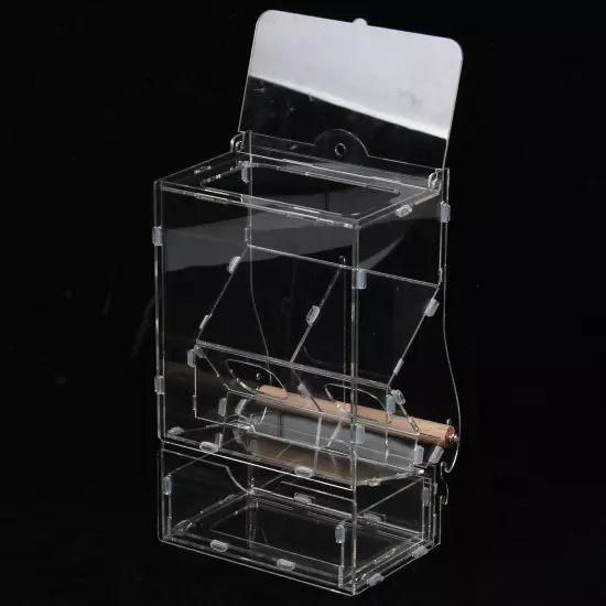 Acrylic Automatic Feeder Case Double Hopper Wood Perches Bird Feeder Cage NEW US