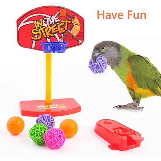 Parrot Bird Toys Set Colorful Basketball Skateboard Relieve Anxiety Puzzle Toy