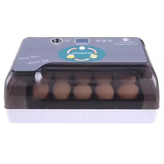 US 12-Egg Adjustable Egg Tray Practical Fully Automatic Poultry Incubator Set