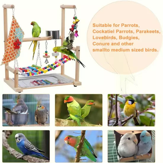 Bird Playground Parrot Playstand Toys: Bird Cage Accessories Bird Perches with R