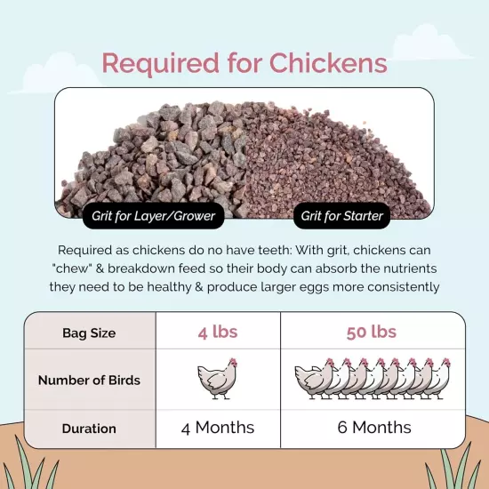 Chicken Grit | Layer & Grower Chickens Age 8-20+ Weeks | 4 lbs. | 100% Natural M