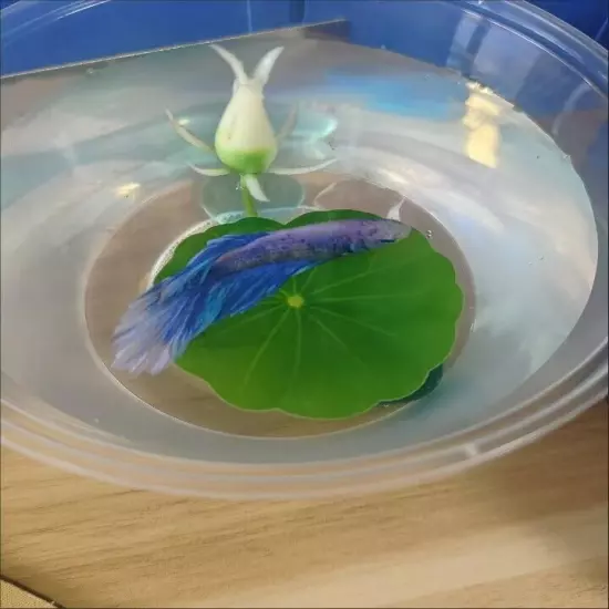 Betta Bed Hammock Betta Fish Lotus style Pad Artificial Fish Tank Rest New