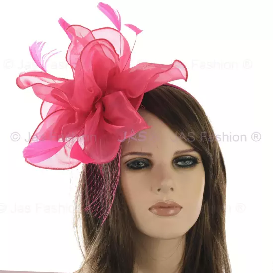 Melbourne Cup Spring Races Racing Carnival Headband Clip Hatinator Fascinator