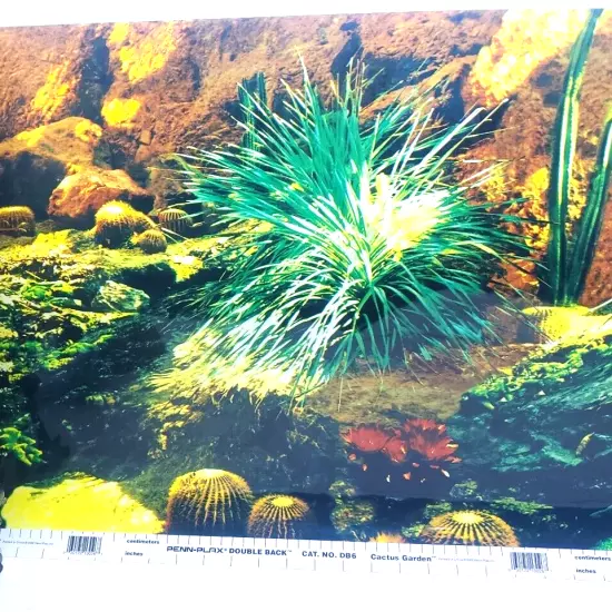 Penn Plax Cactus Garden / Rainforest 18” x 25’ DB6 Aquarium Background NEW