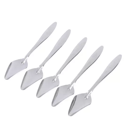 5Pc Baby Bird Pointed Feeding Spoon Stainless Steel Milk Medicine Parrot Fe.t2