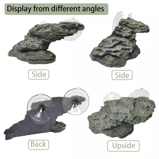 Turtle Basking Platform Baby Tortoise Climbing Ramp Shale Reptiles Dock Resti...