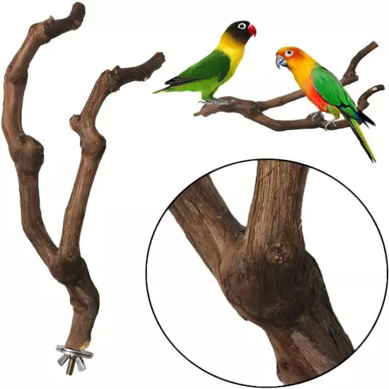 kathson Natural Parrot Perch Bird Stand Pole Wild Grape Stick Paw 3PCS, 3PCS 