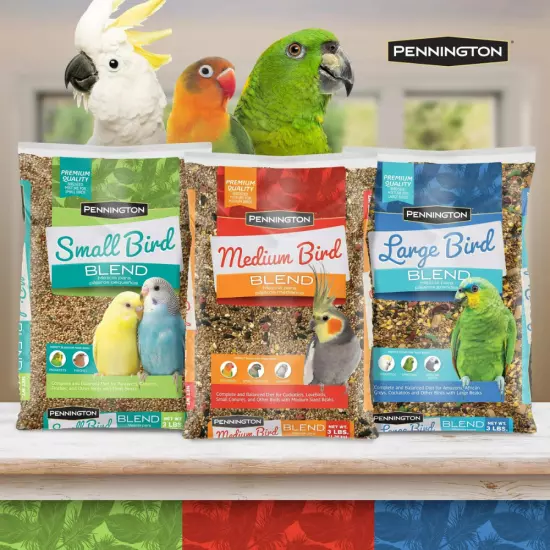 Pennington Medium Bird Everyday Blend Bird Food for Cockatiels 3 Lb Bag, 1 Pack