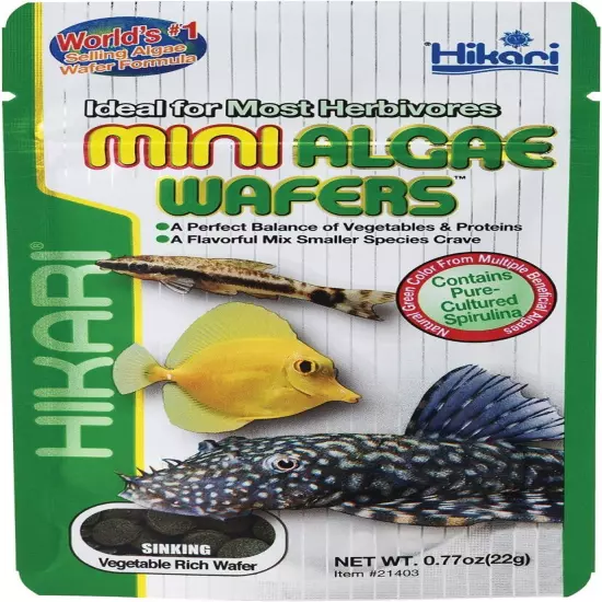 Hikari Mini Algae Wafers, 0.77 oz