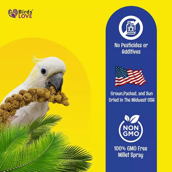 Birds LOVE Economy & Thin Spray Millet for Birds 100% Natural Treat No Stems 7oz