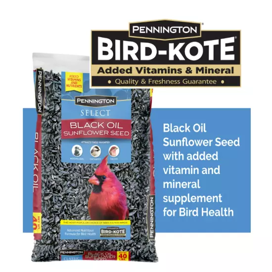 Pennington Select Black Oil Sunflower Seed Dry Wild Bird Feed, 40 lb. Bag, 1Pack