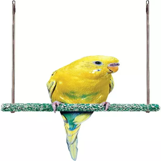 PENN-PLAX Bird-Life Trimmer Plus Cement & Metal Swing – Naturally Trims... 