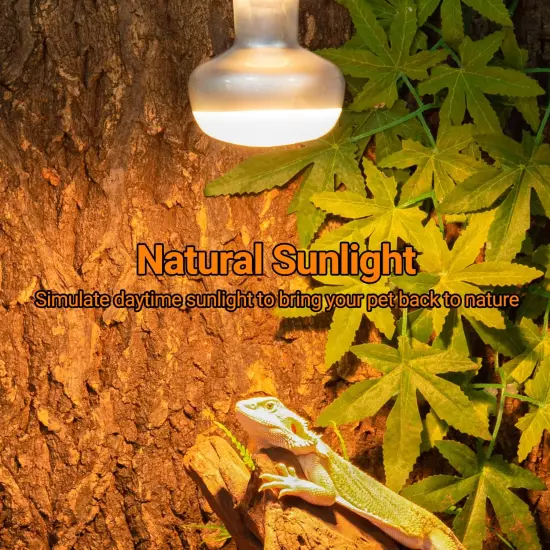 2 Pack Heat Lamp 100W, Intense Basking Spot Simulated Natural Sunlight Heating L