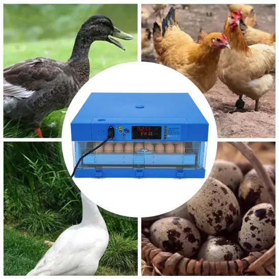 110V 12V chicken duck goose 64 egg incubator --Fully automatic dual power supply