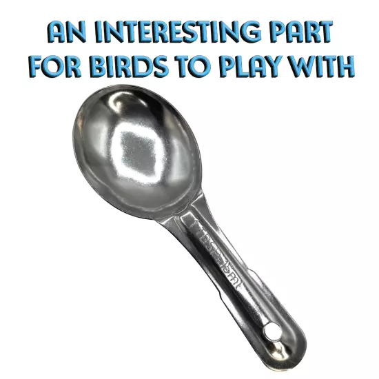 701 Pk4 Large Stainless Steel Spoons - Durable bird foot toys, Thick, Shiny