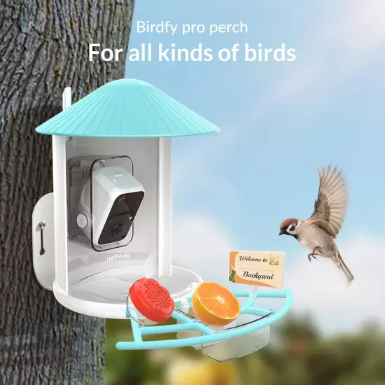 Birdfy Pro Perch - Wider Extension Perch to DIY Add-Ons Including Suet Ball, Min