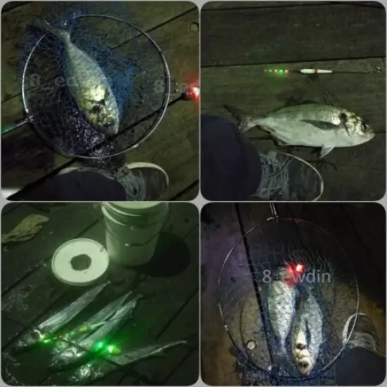 LED Electronic Night Fishing Floats Electric Float + Free Batteries & more !