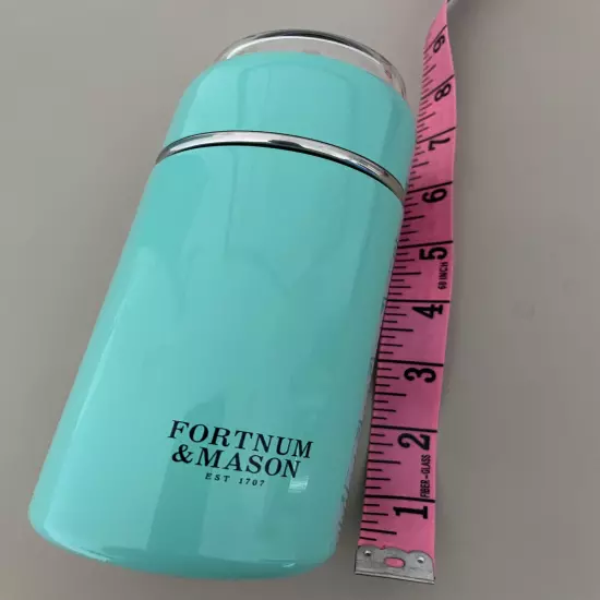 Fortnum and Mason Teasy Travel Tea Infuser, Eau de Nil