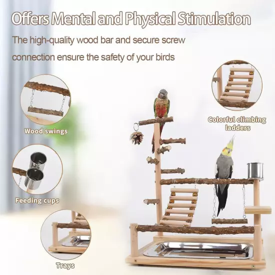 Bird Playground Parrot perch stand Natural Wood bird play stands for cockatie