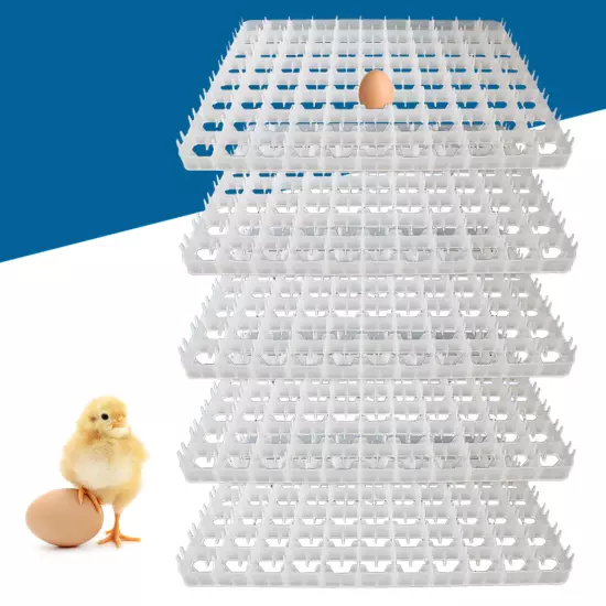 5*Egg Hatching Incubator Trays Chicken Quail Pheasant Duck 88 Egg Plastic Holder