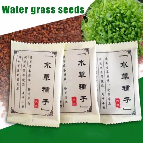 1Bag Aquarium Plant Seeds Aquatic Mini Hair Grass Carpet Water Grass Fish Tank #