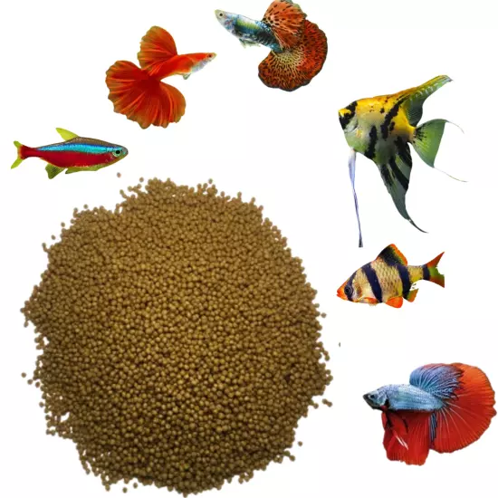 Guppies Koi,Goldfish Best AQUARIUM Fish Food Floating Pond Pellets Color Enhance