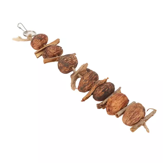 Nuts Parrot Toy Relieve Boredom Hanging Bird Bark Chewing String Toy For Pets