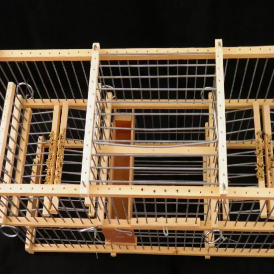 Double Trap Cage for Birds | Gentle & Humane Multi-Action Trap