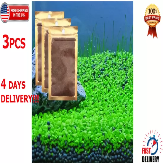 3PCS Live Aquarium Plant Aquatic Plant real grass Carpet for Fresh Water Fish