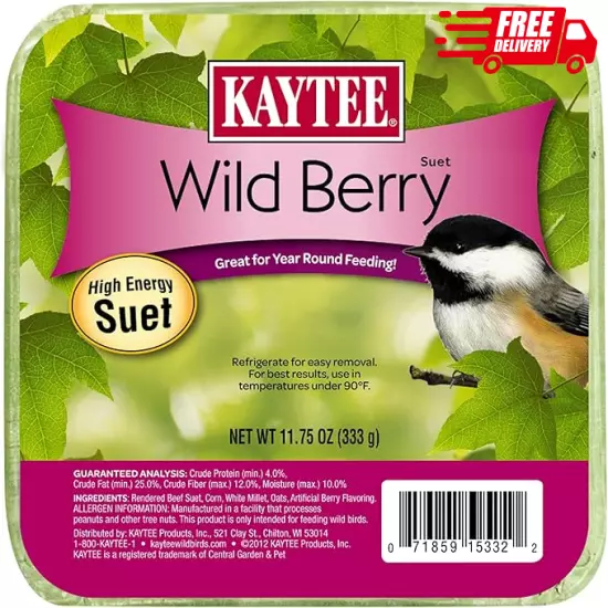 Kaytee High Energy Wild Berry Bird Suet, 11.75 oz