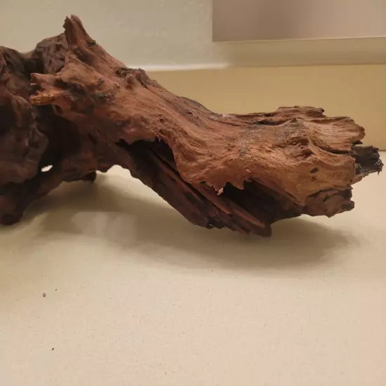 XL Pacific Driftwood 20.5" (Boil and/or secure with rocks to sink in aquarium)