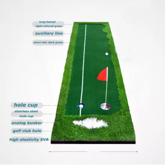 TECHTONGDA Golf Putting Green Indoor/ Outdoor Practice Training Mat 2.5ft*9.8 ft