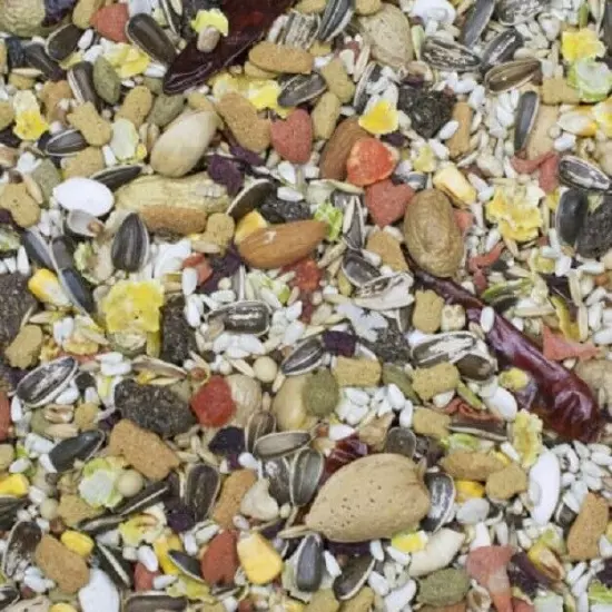 HIGGINS SUNBURST Parrot FOOD MIX Conure Grey Amazon Cockatoo Macaw Fruit Nuts