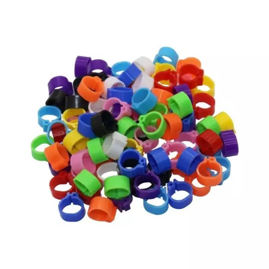 200PC Plastic Racing Pigeon Leg Rings Bands Birds Training Accessories 10mm New