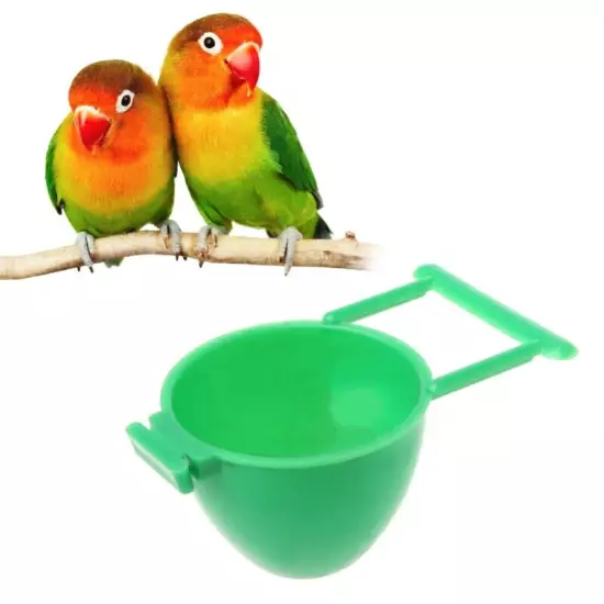 Parrot Fruit Holder Feeder Feeding Tool Vegetable Bowl Water Cup for Cage