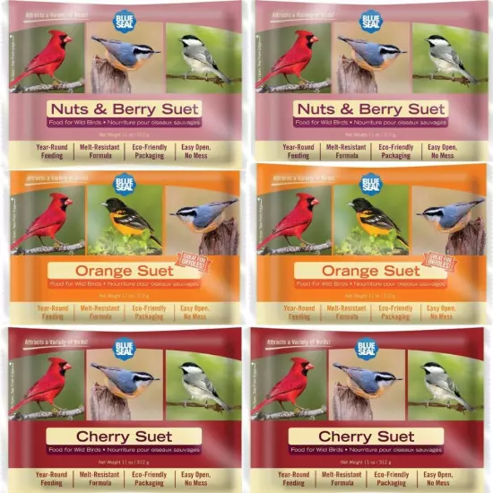 Berry Blend Suet Cakes for Wild Birds - No Mess Suet Feed, Food for Woodpecke...