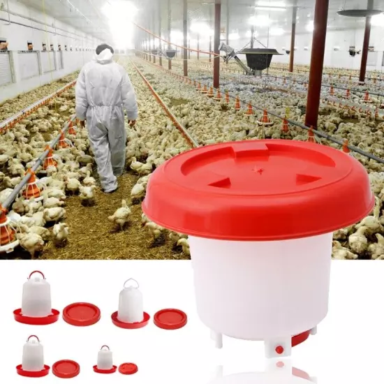 Chicken Waterer Drinker Poultry Feeder 2.5L Chicken Water Feeder Pets Supplies