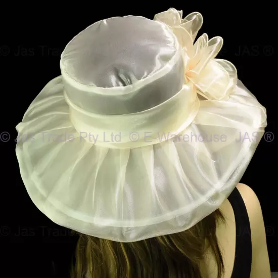 Spring Race Carnival Derby Day Church Wedding Women Ladies Organza Evening Hat