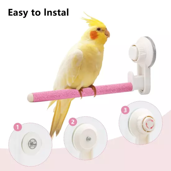 Suction Cup Bird Perch,Wooden Parrot Window/Mirror/Car/Travel/Shower Perches ...