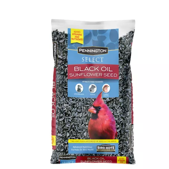 Pennington Select Black Oil Sunflower Seed Dry Wild Bird Feed, 10 lb. Bag, 1 Pac