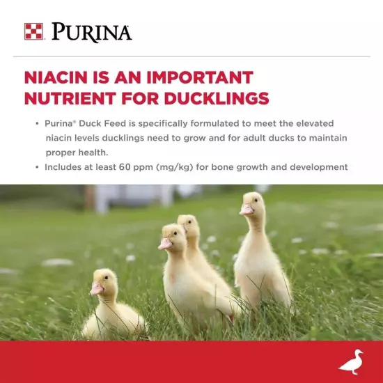 Purina | Nutritionally Complete Duck Feed for All Life-Stages | 5 Pound 5 lb....