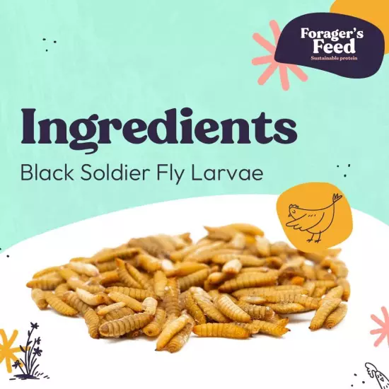 Whole Dried Black Soldier Fly Larvae, 100% All Natural, Non-GMO, High in Prot...