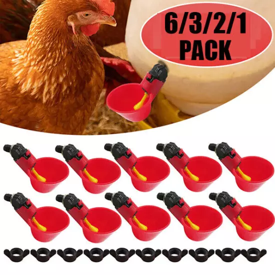 6/3/2pc Chicken Poultry Water Drinker Cup Coop Bowl Automatic Pigeon Farm Feede√