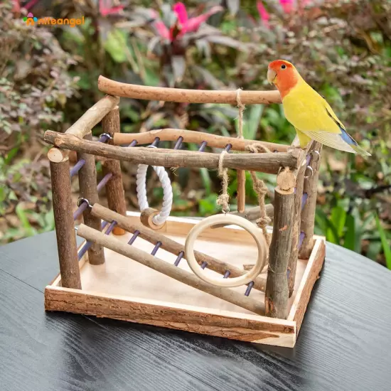 Natural Living Playground for Birds, Bird Activity Center