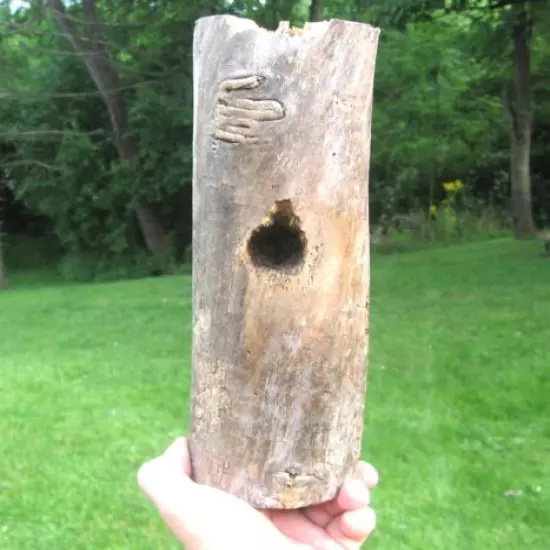 10" AUTHENTIC WOODPECKER HOLE LOG. PERFECT FOR TAXIDERMY OR CRAFTS.