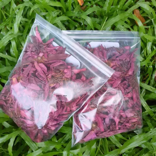 Dried Red Lotus Flower Nelumbo Nucifera Pure Organic Hand Pick Ceylon Herbal Tea