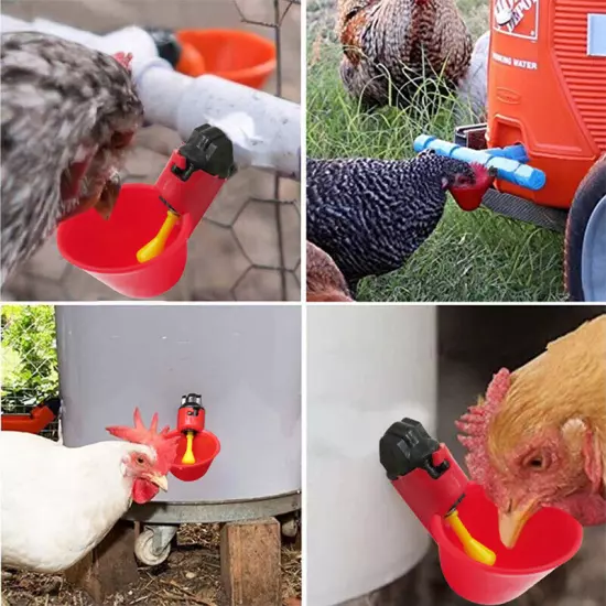 6/3/2pc Chicken Poultry Water Drinker Cup Coop Bowl Automatic Pigeon Farm Feede√