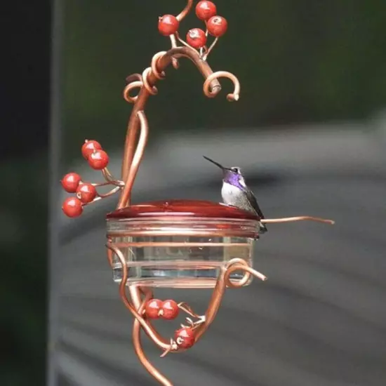 Bowl Shape Courtyard Bird Feeder Red Berries Hummingbird Feeder +Feeder Hook New