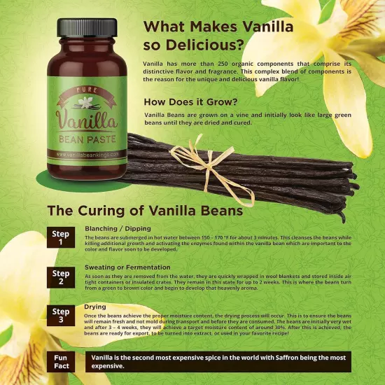 Vanilla Bean Paste for Baking and Cooking - Gourmet 32 Fl Oz (Pack of 1) 